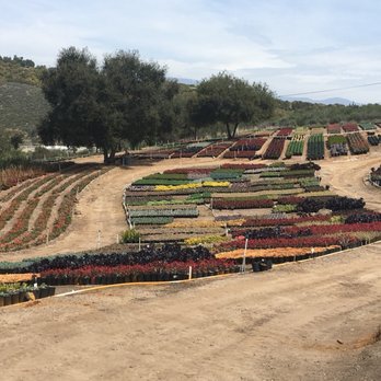 Waterwise Botanicals - Nurseries & Gardening Near Me - Bonsall, California Waterwise Botanicals - Nurseries & Gardening Near Me - Bonsall, California