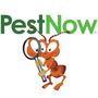 Photo of PestNow