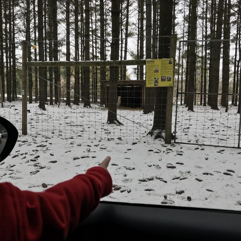 Shalom Wildlife Sanctuary - Parks Near Me - West Bend, Wisconsin