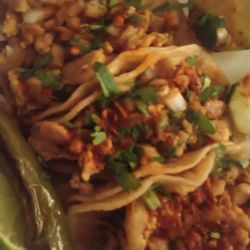 Tacos Y Mariscos Sinaloa - Tacos de pollo con cebolla y cilantro