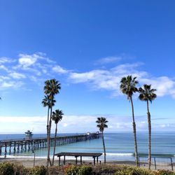 Parque Del Mar - Morning park views