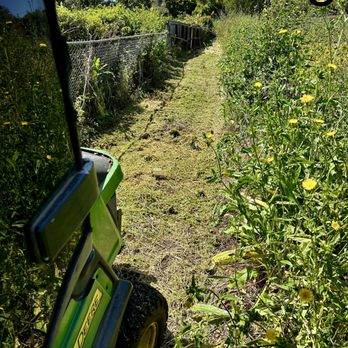 San Diego Weed Mowing - Extreme growth taken down efficiently and quickly. - Landscaping Near Me San Diego Weed Mowing - Extreme growth taken down efficiently and quickly. - Landscaping Near Me