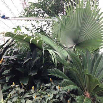 Volunteer Park Conservatory - Parks Near Me - Seattle, Washington Volunteer Park Conservatory - Parks Near Me - Seattle, Washington