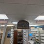 Reddish Pharmacy