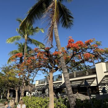 Beach Villas at Ko Olina - Resorts Near Me - Kapolei, Hawaii