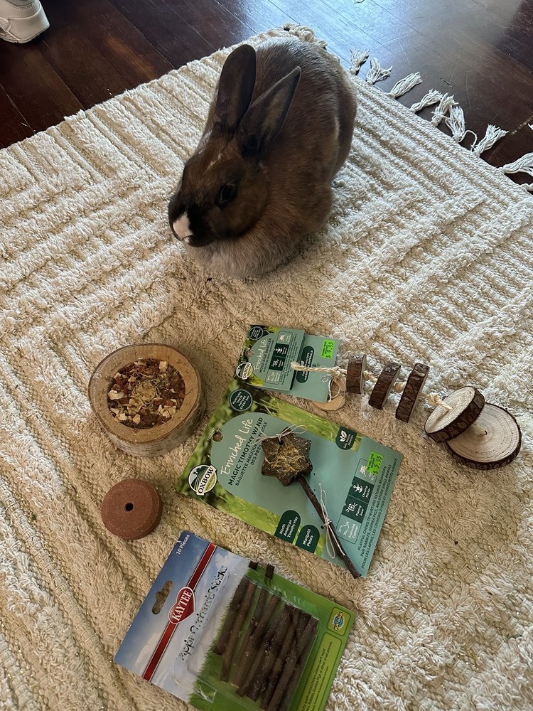 ANIMAL HOUSE PET SHOP Updated October 2024 38 Photos & 28 Reviews