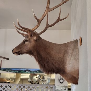 Cold Springs Station - Some amazing Hunting Trophies - American Near Me - Fallon, Nevada