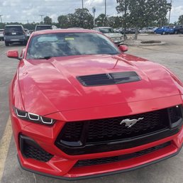 Car we bought! Car we bought!