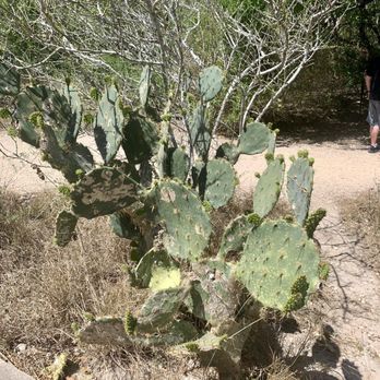 Hugh Ramsey Nature Park - Parks Near Me - Harlingen, Texas