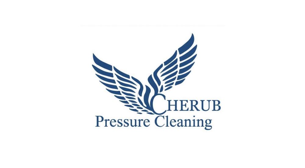 Slide of Cherub Pressure Cleaning