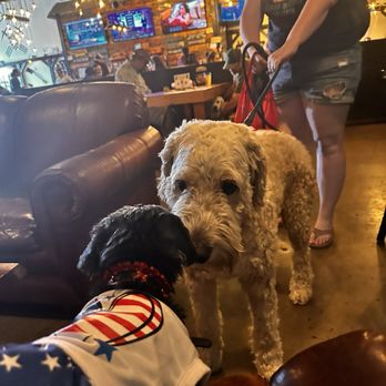 Rockpit Brewing & Distilling - Cute, friendly dog people - Breweries Near Me - Orlando, Florida Rockpit Brewing & Distilling - Cute, friendly dog people - Breweries Near Me - Orlando, Florida