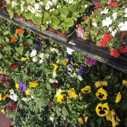 DIY Home Center Thousand Oaks