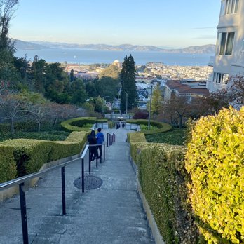 Pacific Heights - 11.14.20 Lyon Street Steps - Local Flavor Near Me Pacific Heights - 11.14.20 Lyon Street Steps - Local Flavor Near Me