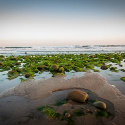Surfer's Point