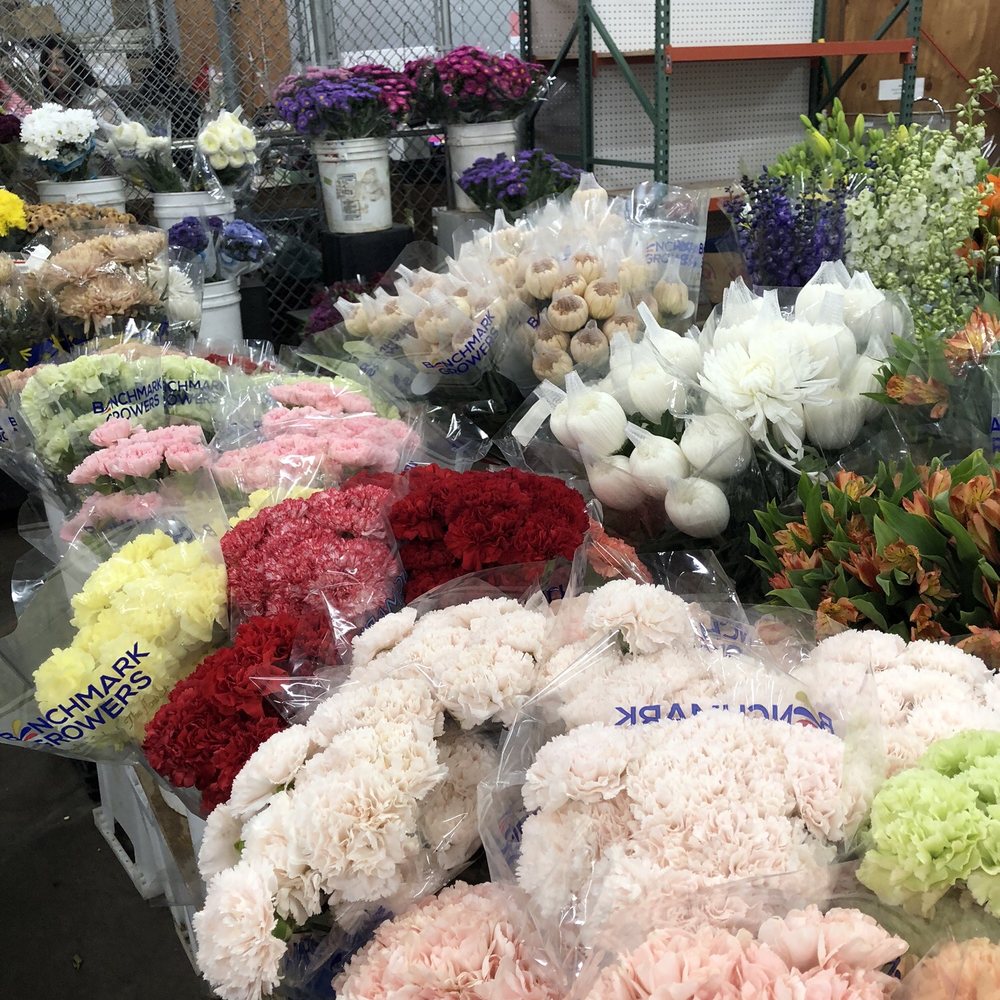 Cali Wholesale Flowers - 6/28/24 - Wholesalers Near Me - Carlsbad, California Cali Wholesale Flowers - 6/28/24 - Wholesalers Near Me - Carlsbad, California