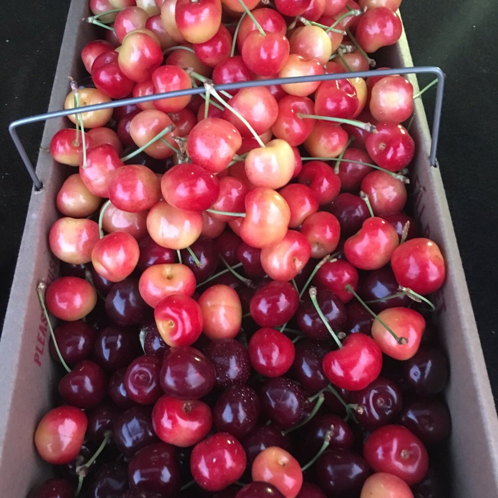 Cherry Avenue Farms - Farmers Market Near Me - Lincoln, Ontario Cherry Avenue Farms - Farmers Market Near Me - Lincoln, Ontario