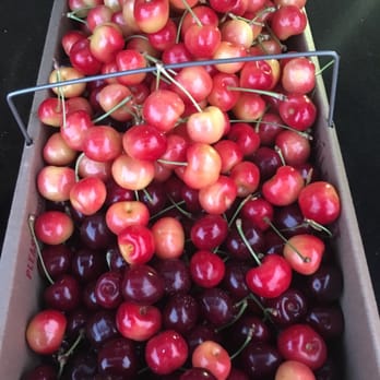 Cherry Avenue Farms - Farmers Market Near Me - Lincoln, Ontario Cherry Avenue Farms - Farmers Market Near Me - Lincoln, Ontario