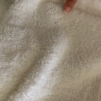 Quality Inn Fallbrook I-15 - hair left on towels - Hotels Near Me - Fallbrook, California Quality Inn Fallbrook I-15 - hair left on towels - Hotels Near Me - Fallbrook, California