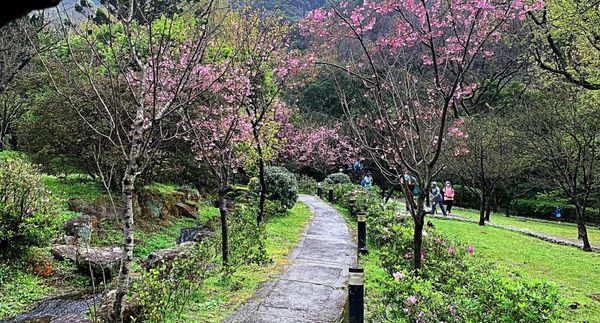 Yangmingshan National Park by null