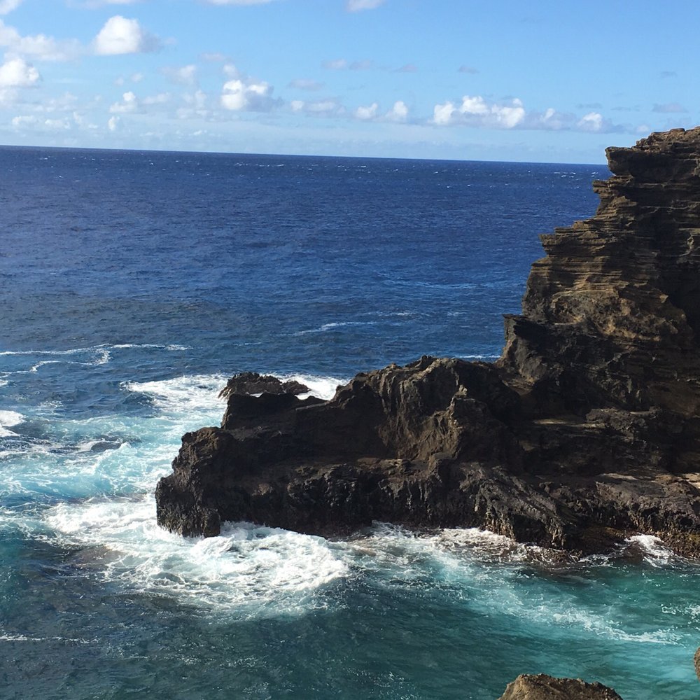 Aloha Hawaii Tours - Bus Tours Near Me - Honolulu, Hawaii Aloha Hawaii Tours - Bus Tours Near Me - Honolulu, Hawaii