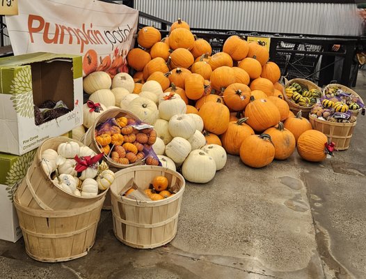 Safeway Bakery by null