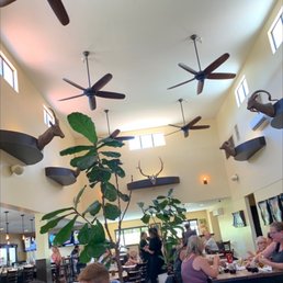 Z CAFE - Updated September 2025 - 865 Photos & 1089 Reviews