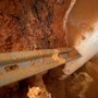 Photo of Southern Plumbing & Drain Co