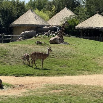 Fort Worth Zoo - Zoos Near Me - Fort Worth, Texas