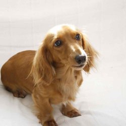 Barr-North Veterinary Services - Photo