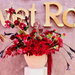 Velvet Rose by KK