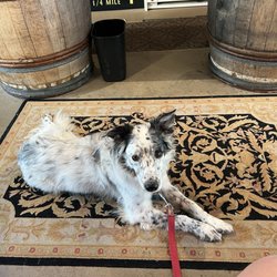 Cantiga Wineworks - Fog friendly tasting room.