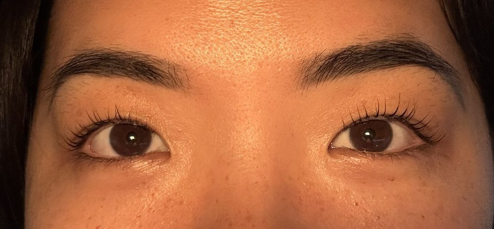 Lashes By Bava Logo