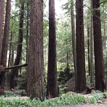 Redwood Park - Parks Near Me - Arcata, California
