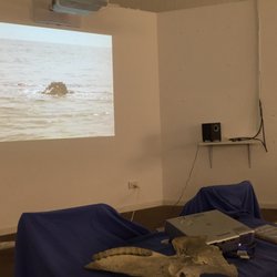 Sapphire Coast Marine Discovery Centre