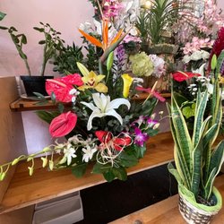 Amazing, unique arrangements