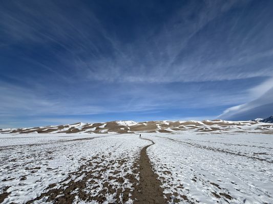 Piñon Flats Campground by null