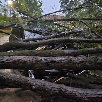 Enterprise Rent-A-Car - Tree fell on my SUV after thunderstorm - Car Rental Near Me - Great Neck, New York