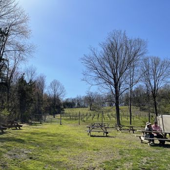 Clearview Vineyard - Vineyard - Wineries Near Me - Warwick, New York