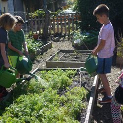 Ocean Charter School - Gardening