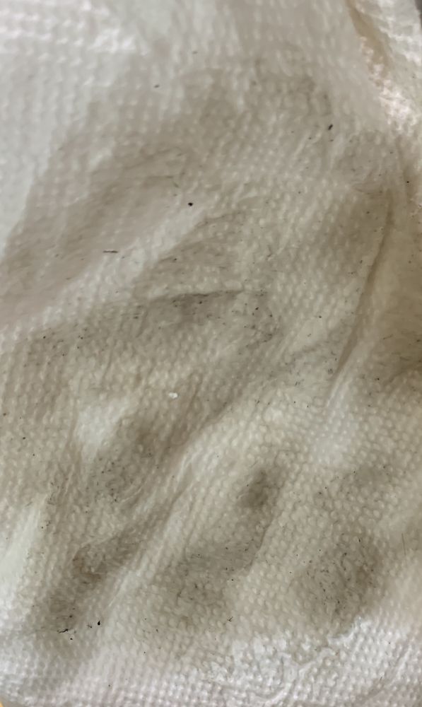 KELLY MAID SERVICE 421 Manila Ave, Jersey City, New Jersey Home