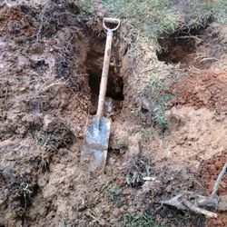 Archie Alanso plumbing