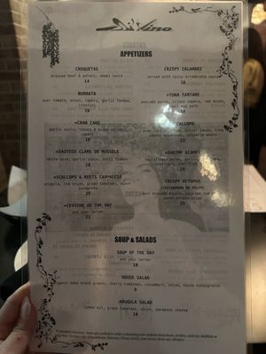 Menu photo 5 Di Vino Forest Park, IL