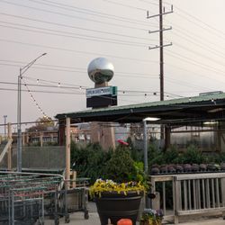 Joplin Greenhouse & The Coffee Shop - Joplin Greenhouse & The Coffee Shop