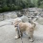 Photo of Denny Creek