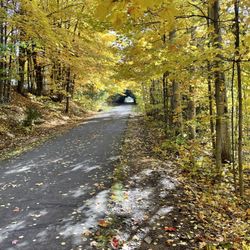 Riding Electric - Leelanau trail October