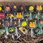 Photo of Bousquet’s Fruit Bouquets