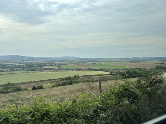 The Red Lion by null