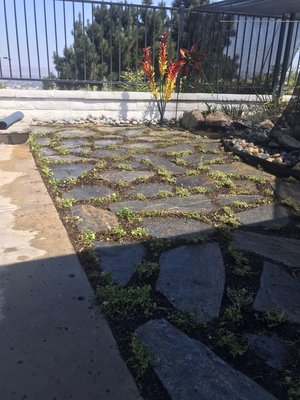 Landscape Irrigation - 714-650-0366 - At Unbeatable Landscapes, we understand that irrigation is the cornerstone of a thriving and lush landscape. Our expertise lies in implementing precise irrigation systems that ensure your plants receive the water they need to flourish. From state-of-the-art pop-up sprinklers to efficient drip systems designed for water conservation, we tailor our installations to suit the unique needs of your outdoor space. Trust Unbeatable Landscapes to optimize your irrigation for a landscape that thrives year-round. Landscape Irrigation - 714-650-0366 - At Unbeatable Landscapes, we understand that irrigation is the cornerstone of a thriving and lush landscape. Our expertise lies in implementing precise irrigation systems that ensure your plants receive the water they need to flourish. From state-of-the-art pop-up sprinklers to efficient drip systems designed for water conservation, we tailor our installations to suit the unique needs of your outdoor space. Trust Unbeatable Landscapes to optimize your irrigation for a landscape that thrives year-round.