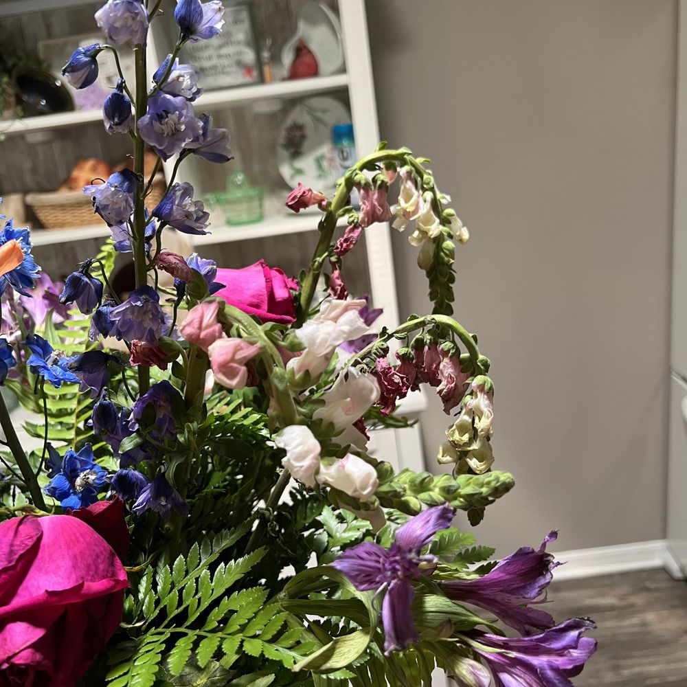 Southern Tradition Florist - Dead and wilting flowers - Florists Near Me - Leesburg, Florida Southern Tradition Florist - Dead and wilting flowers - Florists Near Me - Leesburg, Florida