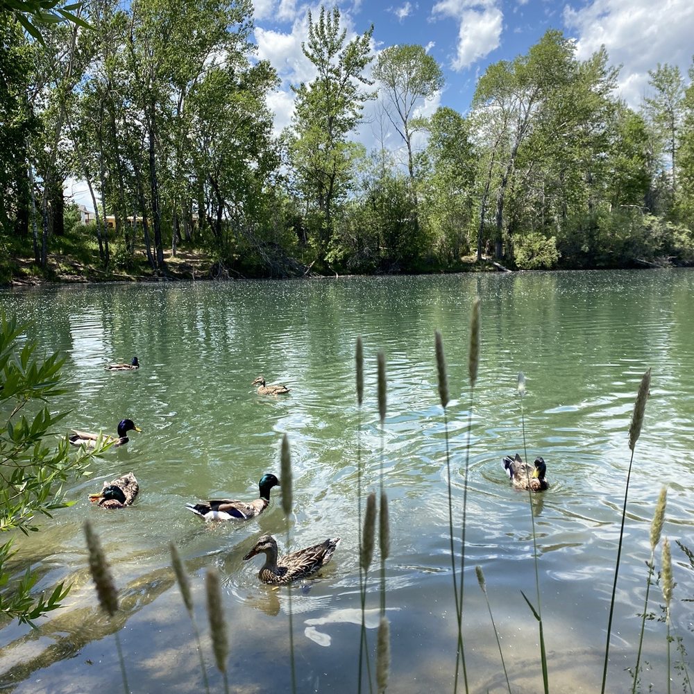 Bozeman Pond - Parks Near Me - Bozeman, Montana